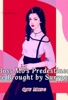 Boss Mo’s Predestined Love Brought by Surrogacy