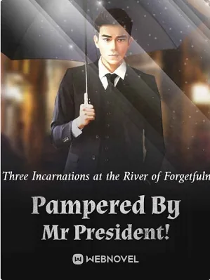 Pampered By Mr President!